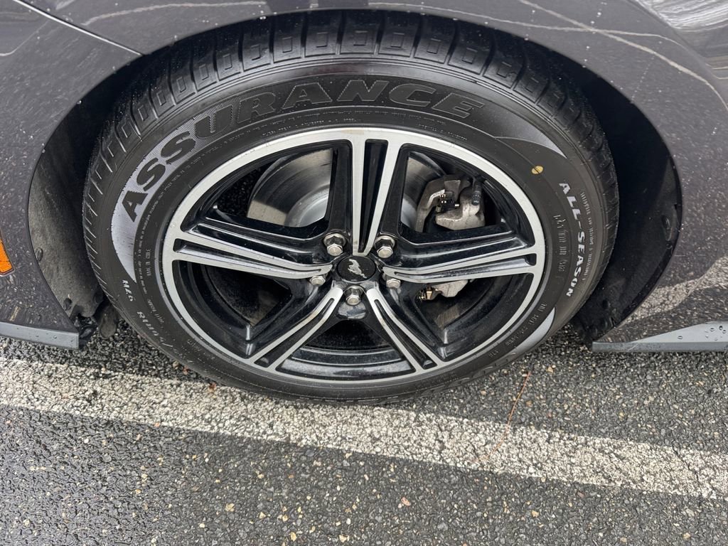 Used 2024 Ford Mustang Premium image 16