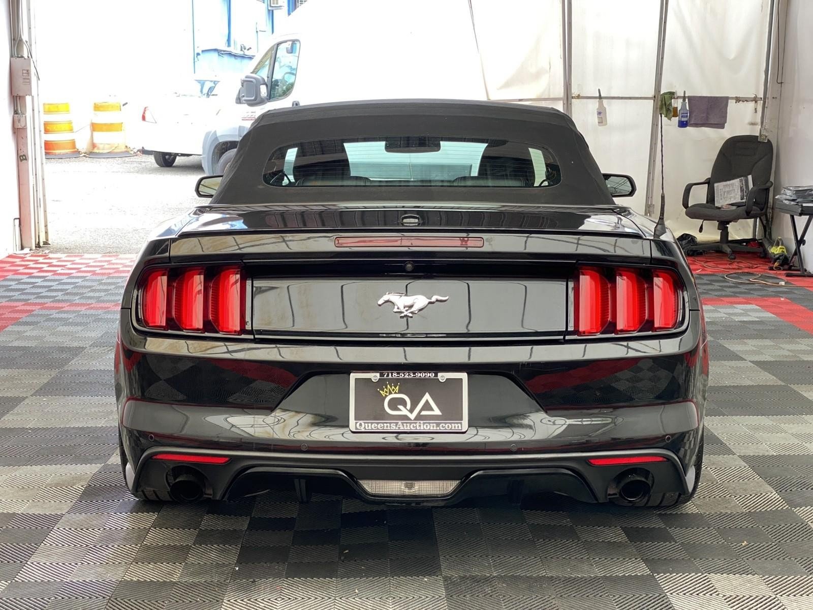 Used 2015 Ford Mustang Premium w/ Equipment Group 201A RWD image 5