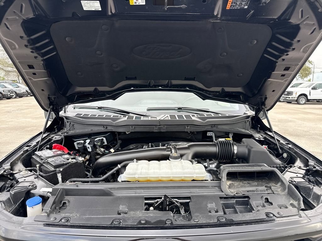 Used 2025 Ford F150 XLT w/ Equipment Group 301A Standard image 30