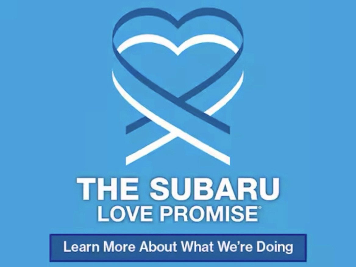 Used 2024 Subaru WRX Premium image 4