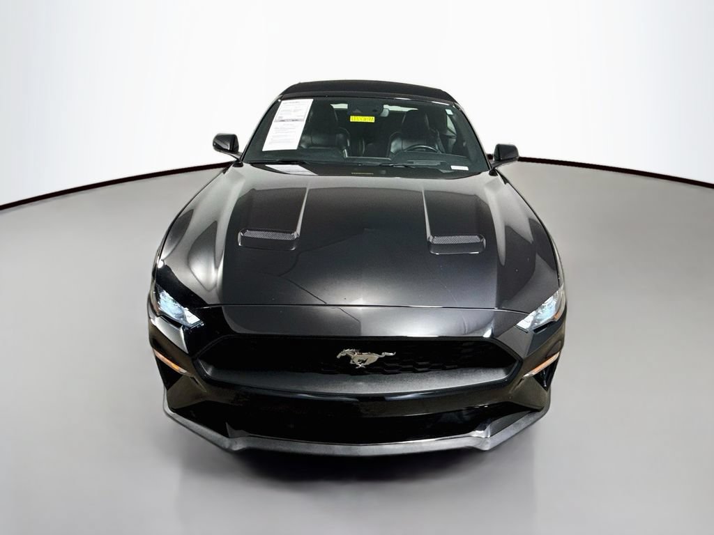 Used 2019 Ford Mustang Premium w/ Equipment Group 201A RWD image 2