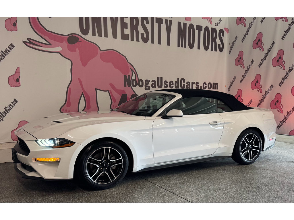 Used 2022 Ford Mustang Premium RWD image 8