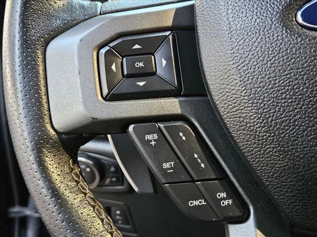 Used 2019 Ford F150 Raptor w/ Equipment Group 802A Luxury image 12