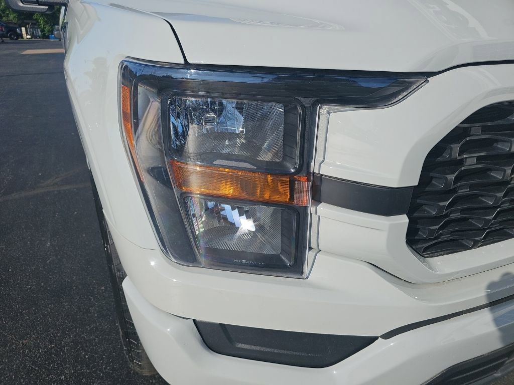 Used 2023 Ford F150 XL w/ STX Appearance Package AWD/4WD image 6
