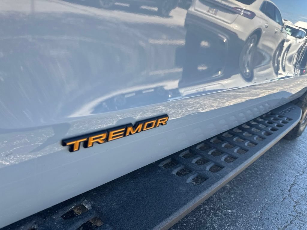 Used 2025 Ford Expedition Tremor AWD/4WD image 61