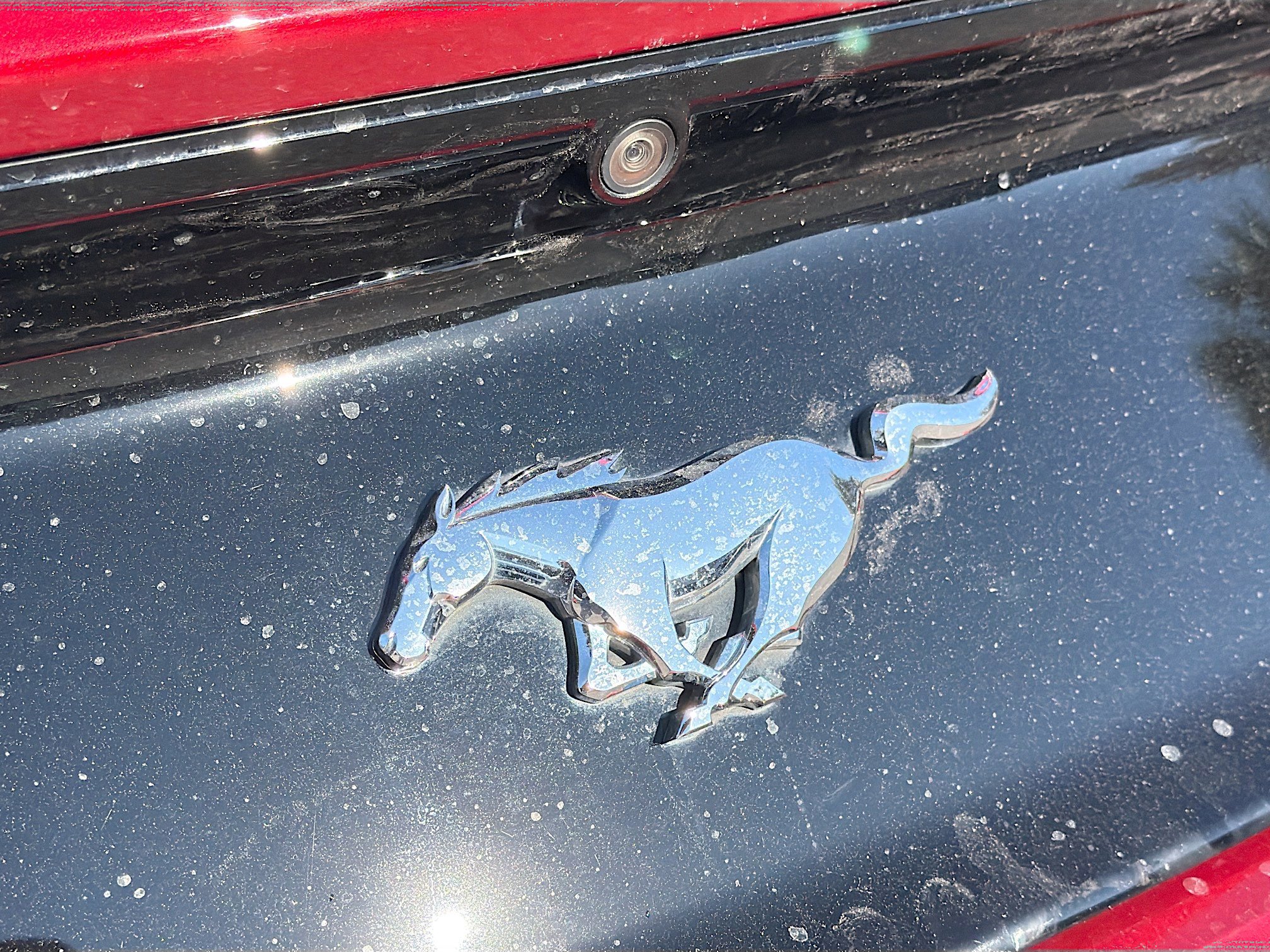 Used 2016 Ford Mustang Premium w/ Equipment Group 201A image 11