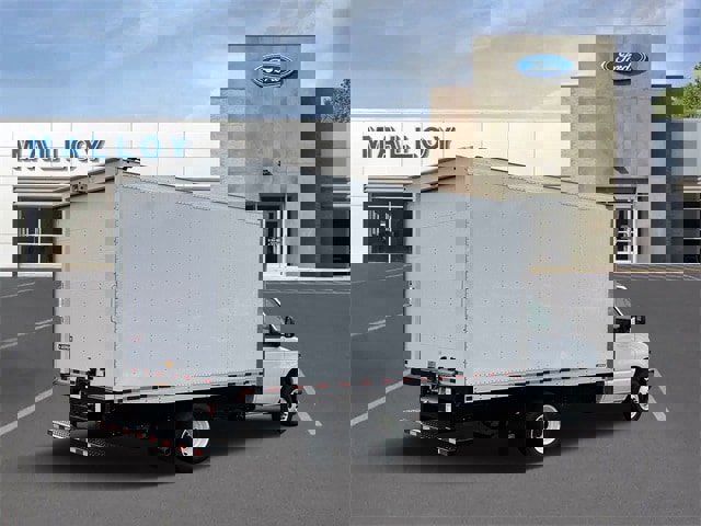 New 2025 Ford E-350 and Econoline 350 Super Duty w/ Driver's Safety Package video 2