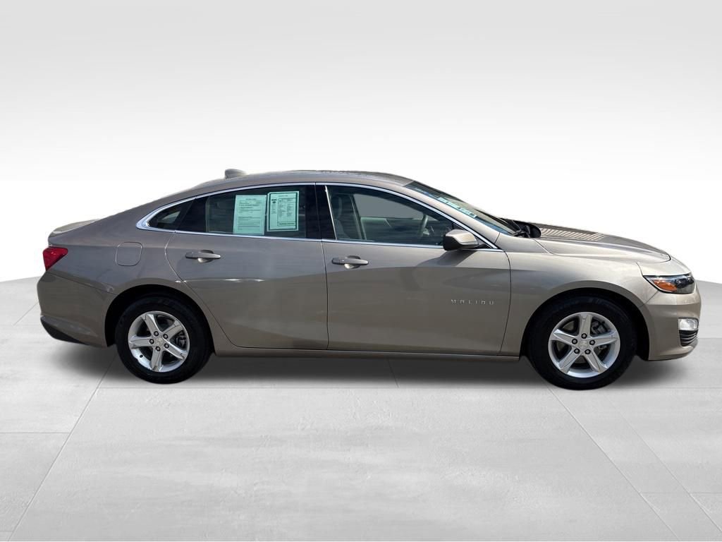 Used 2024 Chevrolet Malibu LT FWD image 6