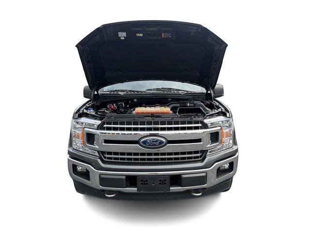 Used 2018 Ford F150 XLT w/ Equipment Group 302A Luxury image 12