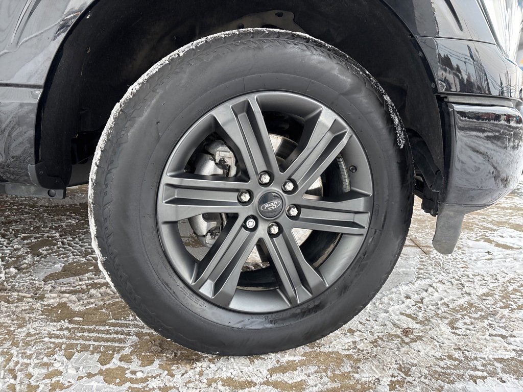 Used 2023 Ford F150 XLT w/ Equipment Group 302A High image 33