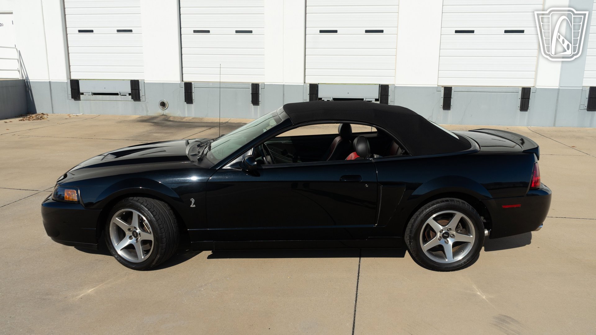 Used 2003 Ford Mustang Cobra image 5