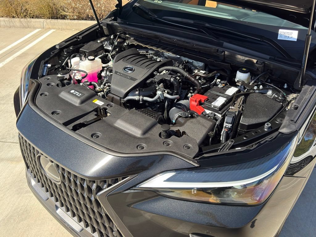 Certified 2025 Lexus NX 350 AWD w/ Cold Area Package image 6