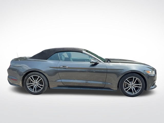 Used 2017 Ford Mustang Premium RWD image 7