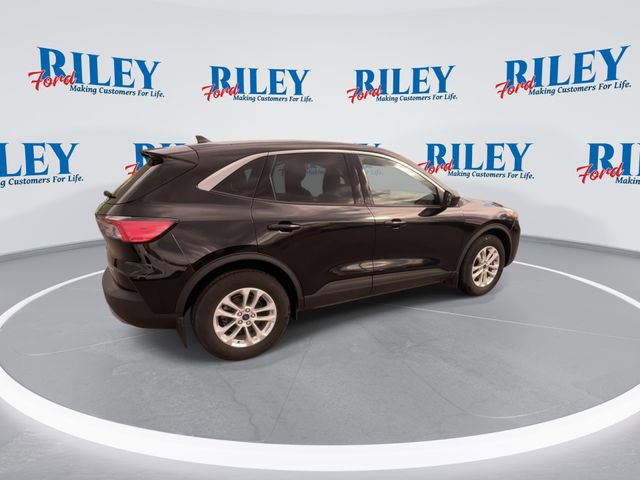 Used 2022 Ford Escape SE w/ Cold Weather Package AWD/4WD image 9