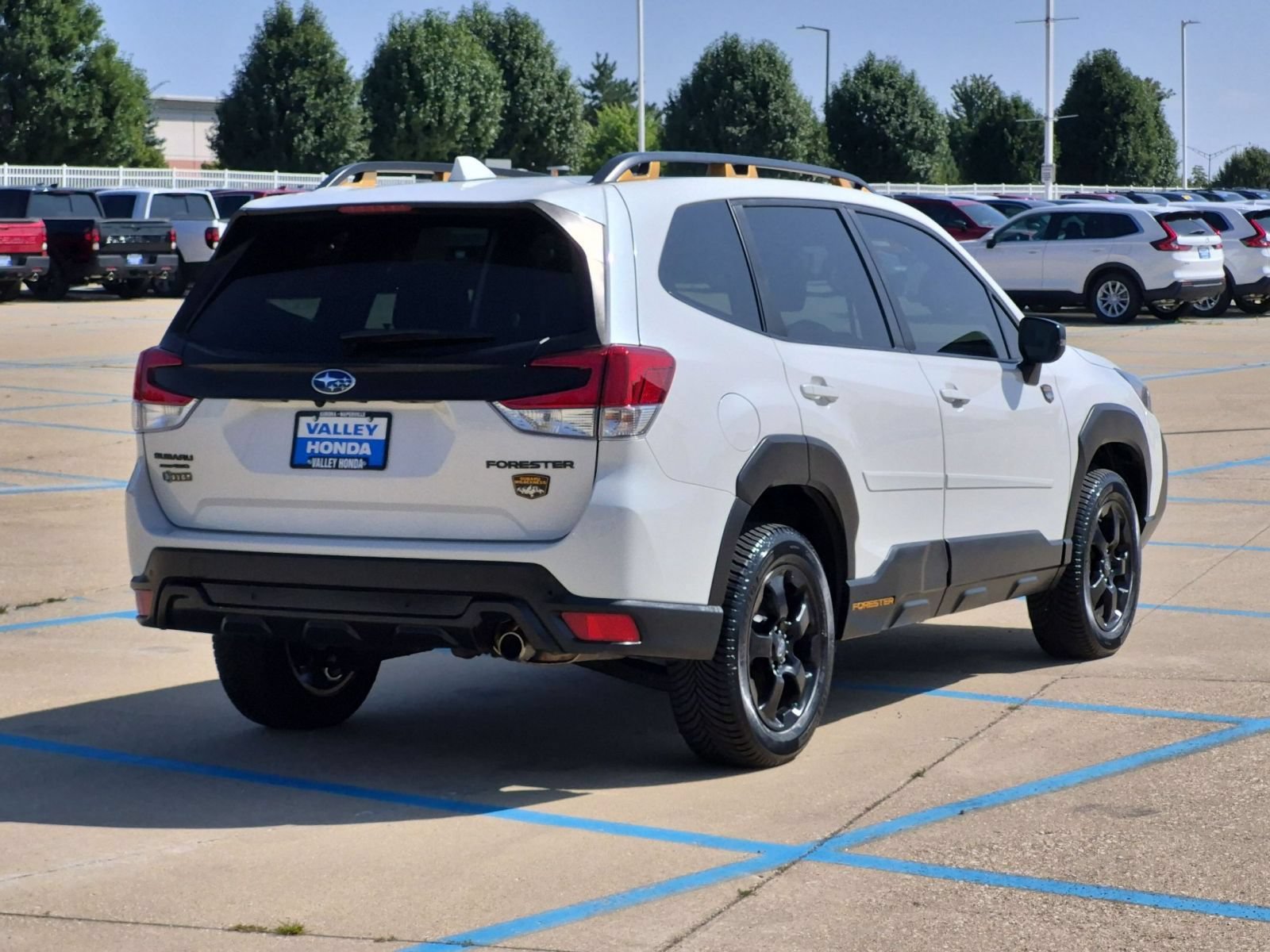 Used 2022 Subaru Forester Wilderness AWD/4WD image 6