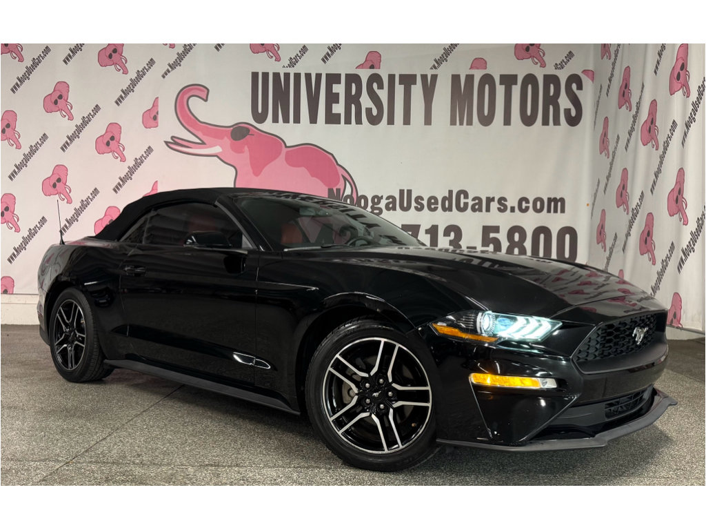Used 2018 Ford Mustang Premium w/ Equipment Group 201A RWD image 5