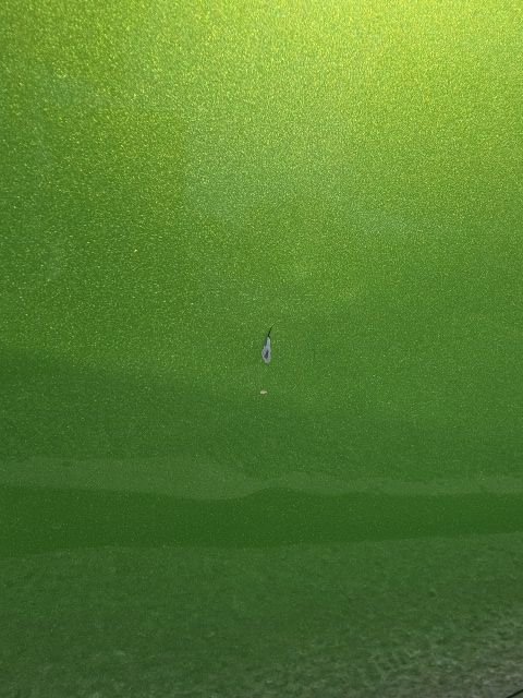 Used 2014 Chevrolet Spark LT image 10