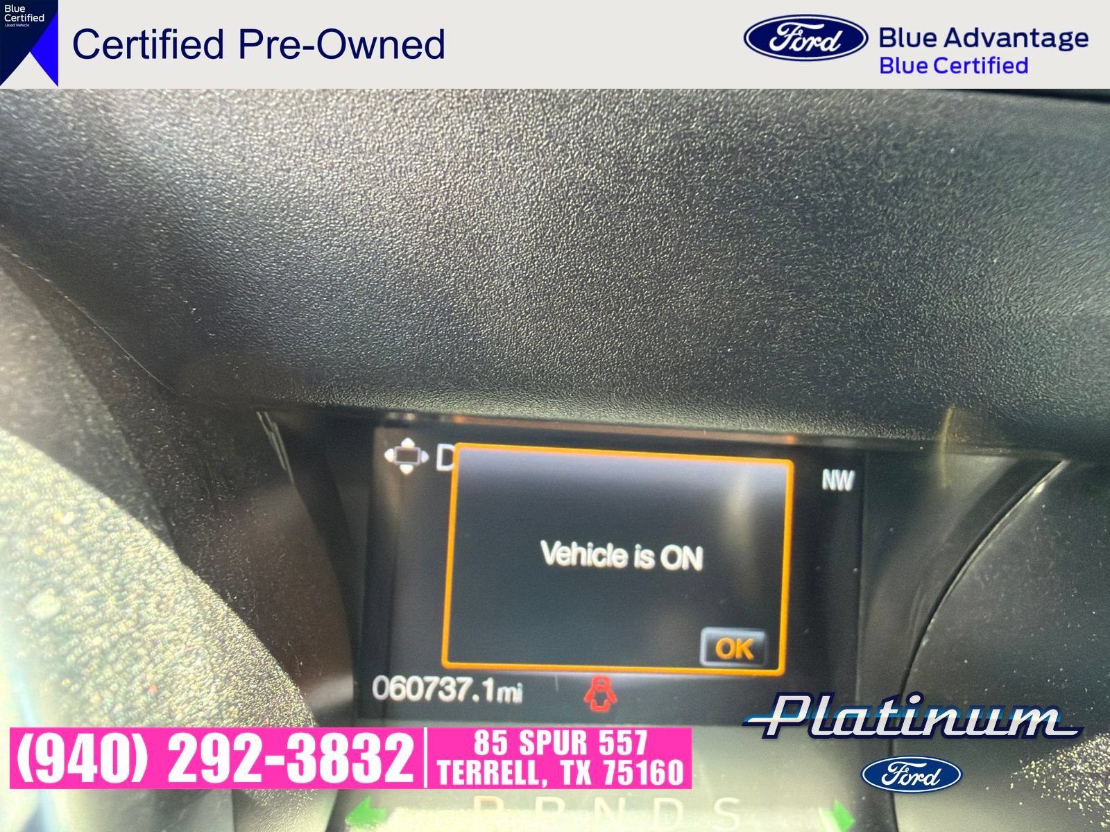 Used 2022 Ford Mustang GT w/ Equipment Group 301A RWD image 13