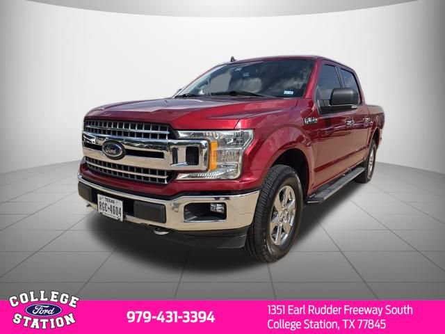 Used 2019 Ford F150 XLT w/ Equipment Group 302A Luxury AWD/4WD image 3