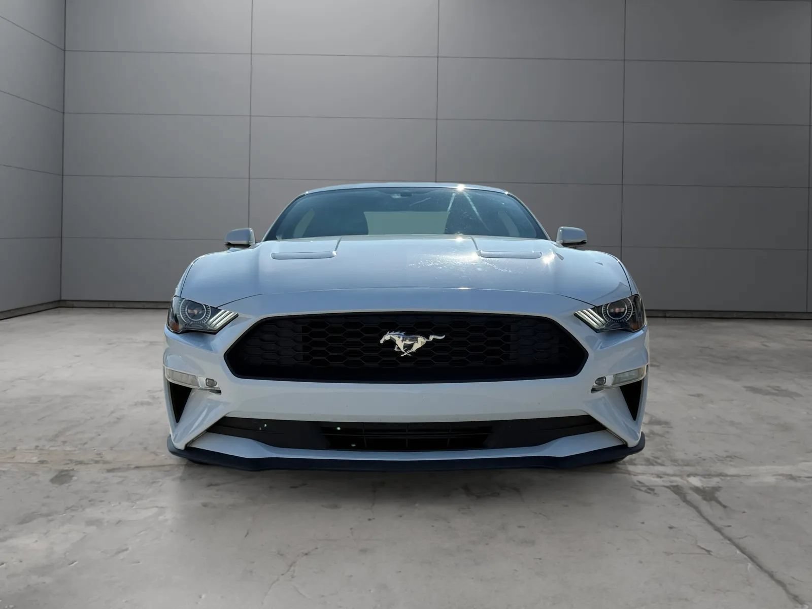Used 2018 Ford Mustang Premium w/ Ecoboost Performance Package RWD image 2