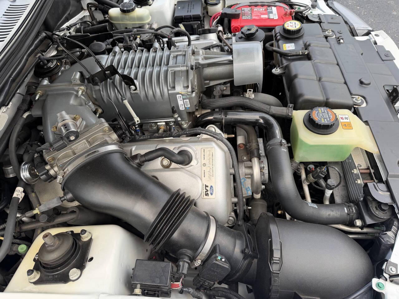 Used 2003 Ford Mustang Cobra RWD image 84