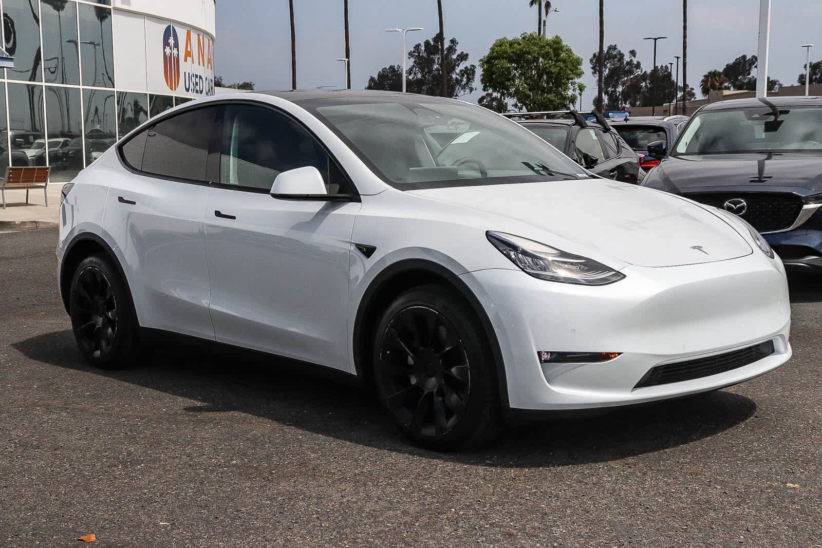 Used 2022 Tesla Model Y Long Range AWD/4WD image 3