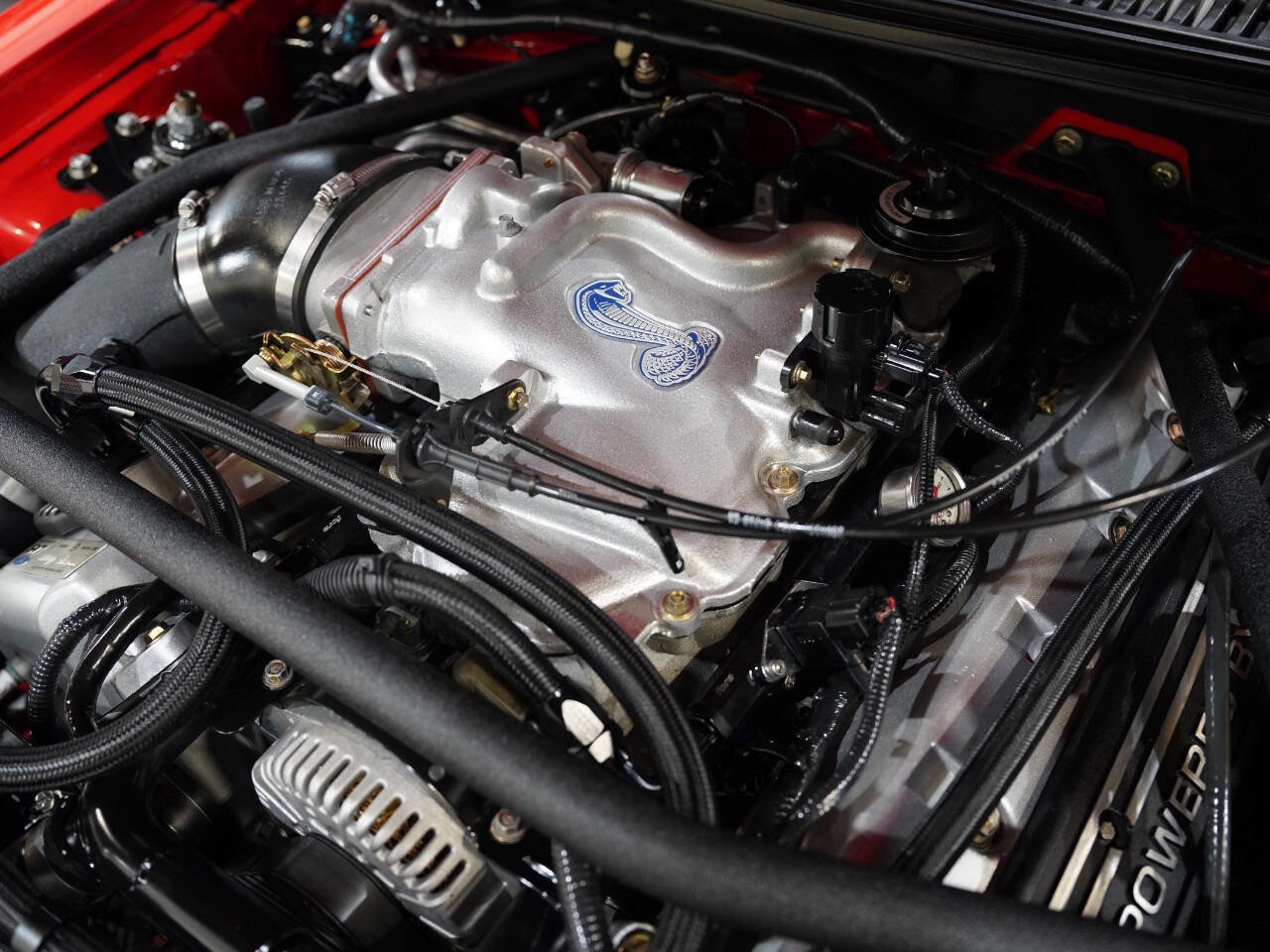 Used 2001 Ford Mustang Cobra image 46