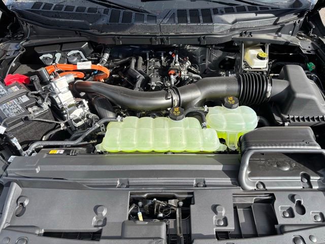 New 2025 Ford F150 XLT w/ Equipment Group 302A MID image 25