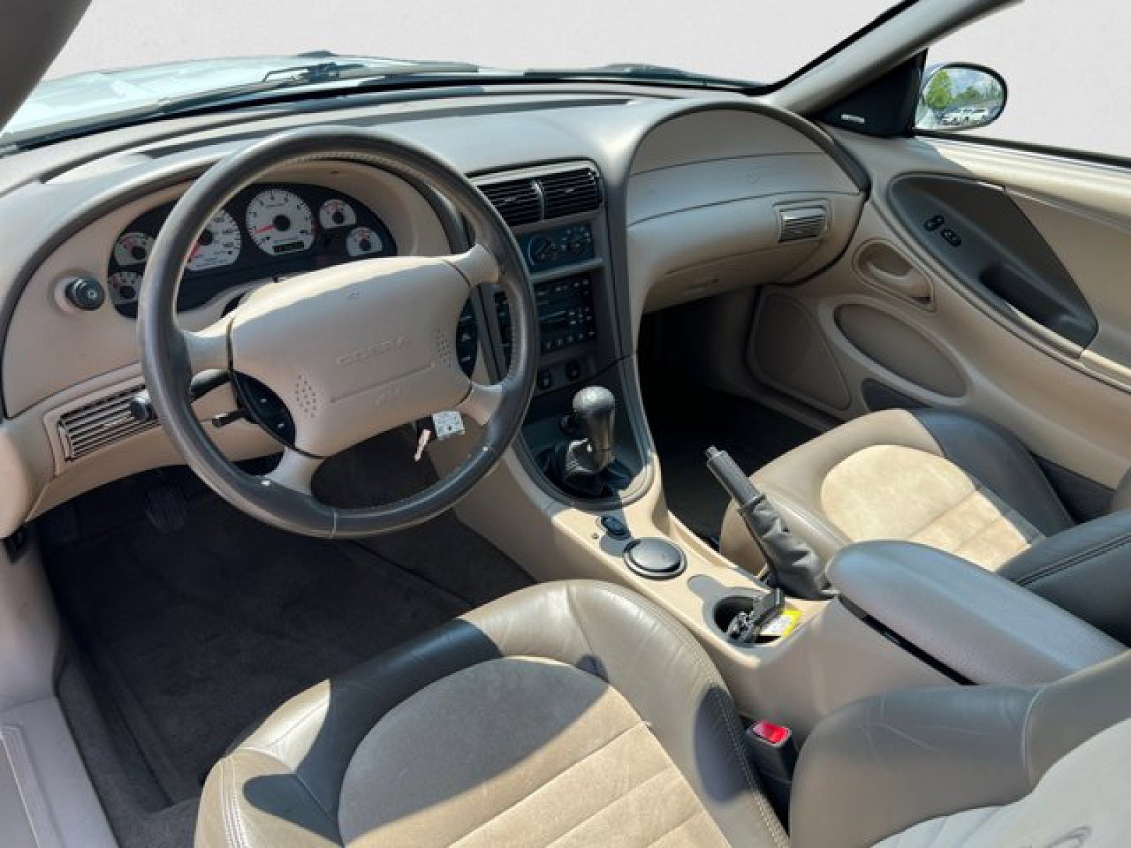 Used 2001 Ford Mustang Cobra image 12