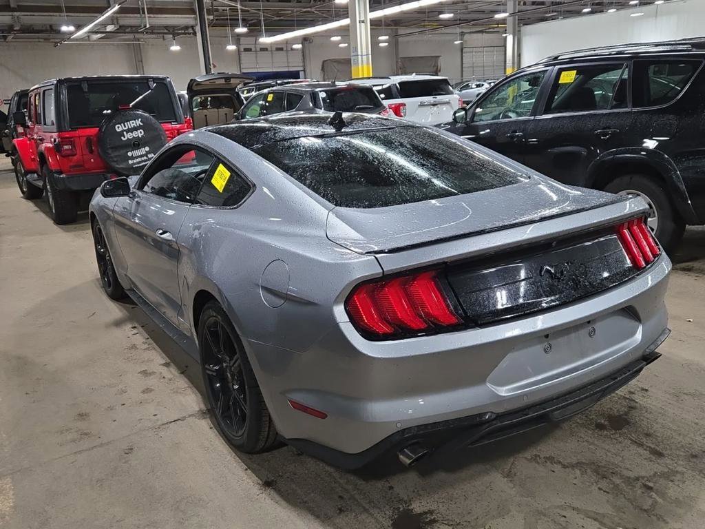 Used 2020 Ford Mustang Coupe w/ Equipment Group 101A RWD image 3