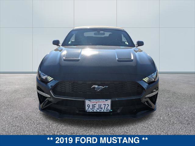 Used 2019 Ford Mustang EcoBoost w/ Equipment Group 101A image 8