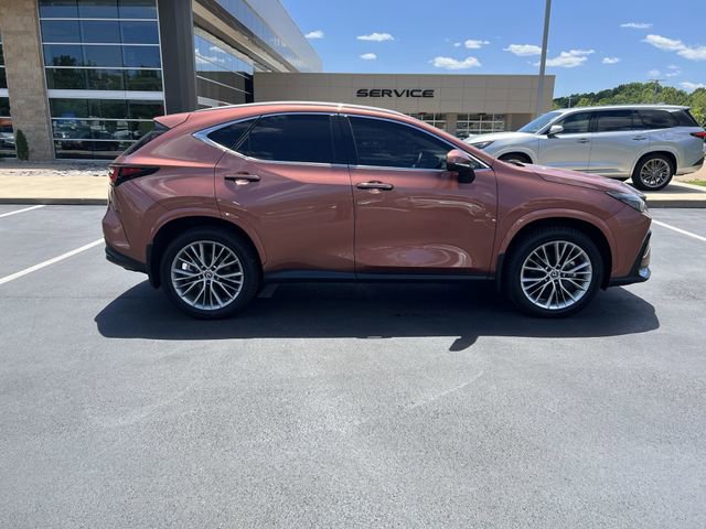 Used 2025 Lexus NX 350h AWD w/ Cold Area Package image 2