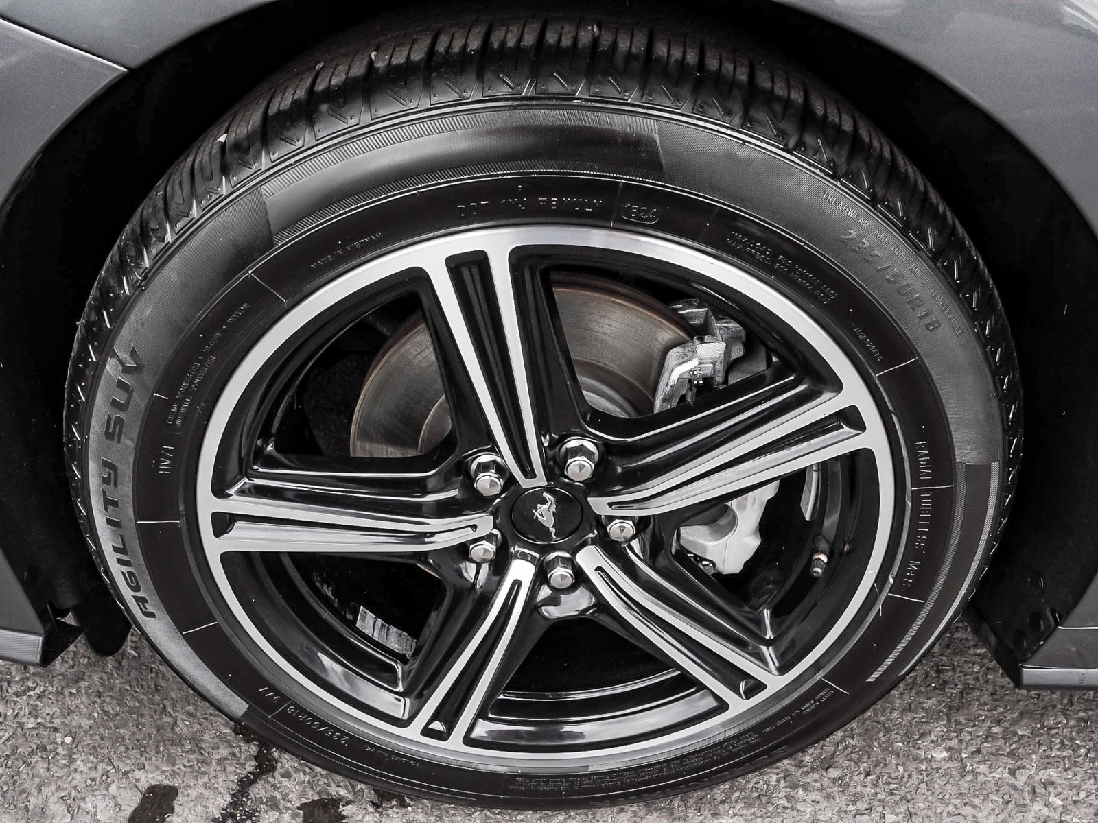 Used 2025 Ford Mustang Premium RWD image 13