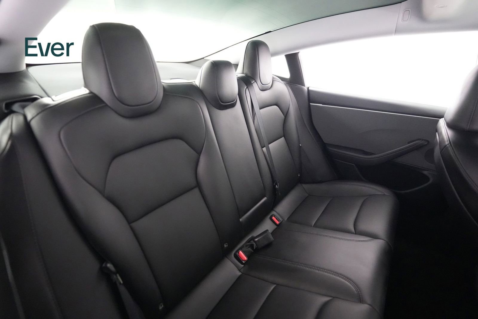 Used 2024 Tesla Model 3 Standard Range RWD image 5