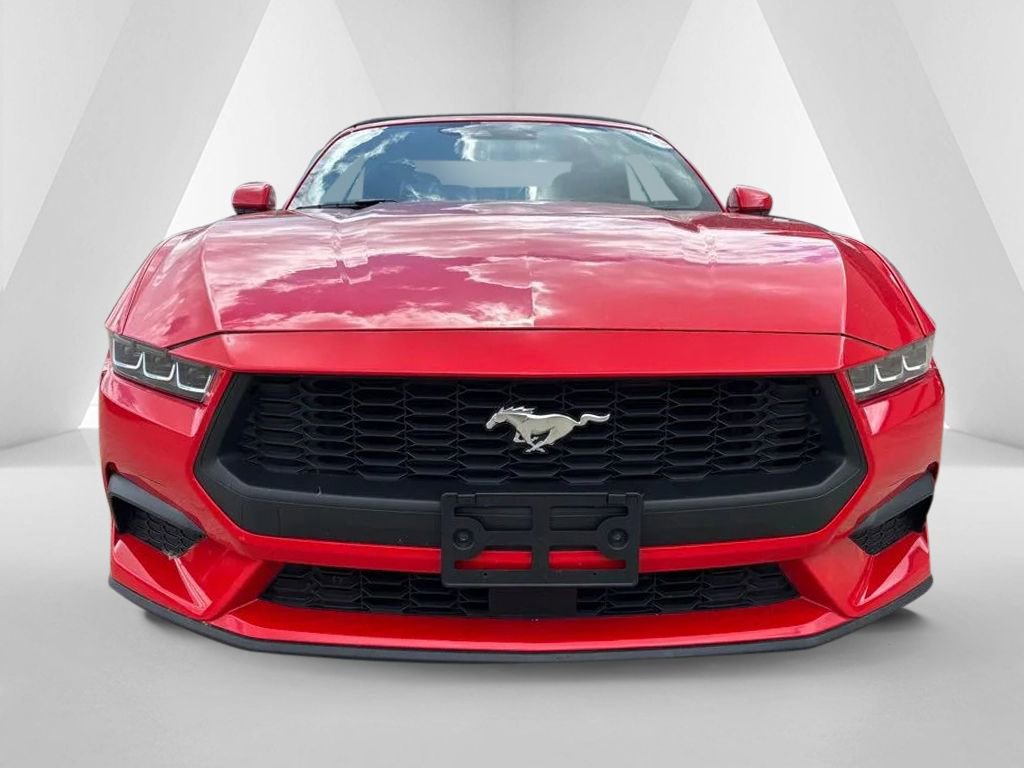 Used 2024 Ford Mustang Premium RWD image 2