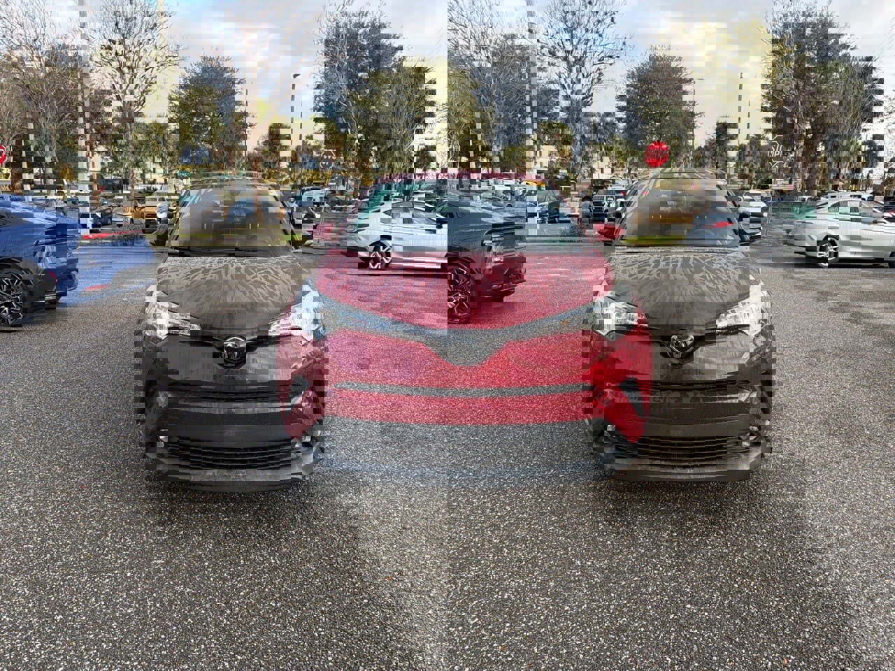 Used 2019 Toyota C-HR Limited image 8