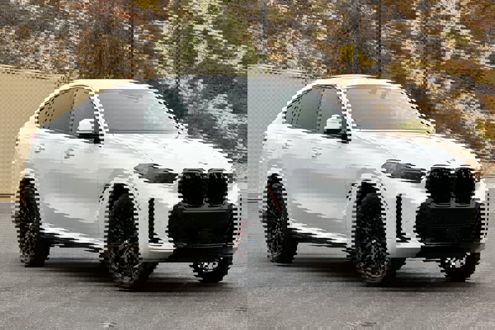 New 2026 BMW X6 xDrive40i image 9