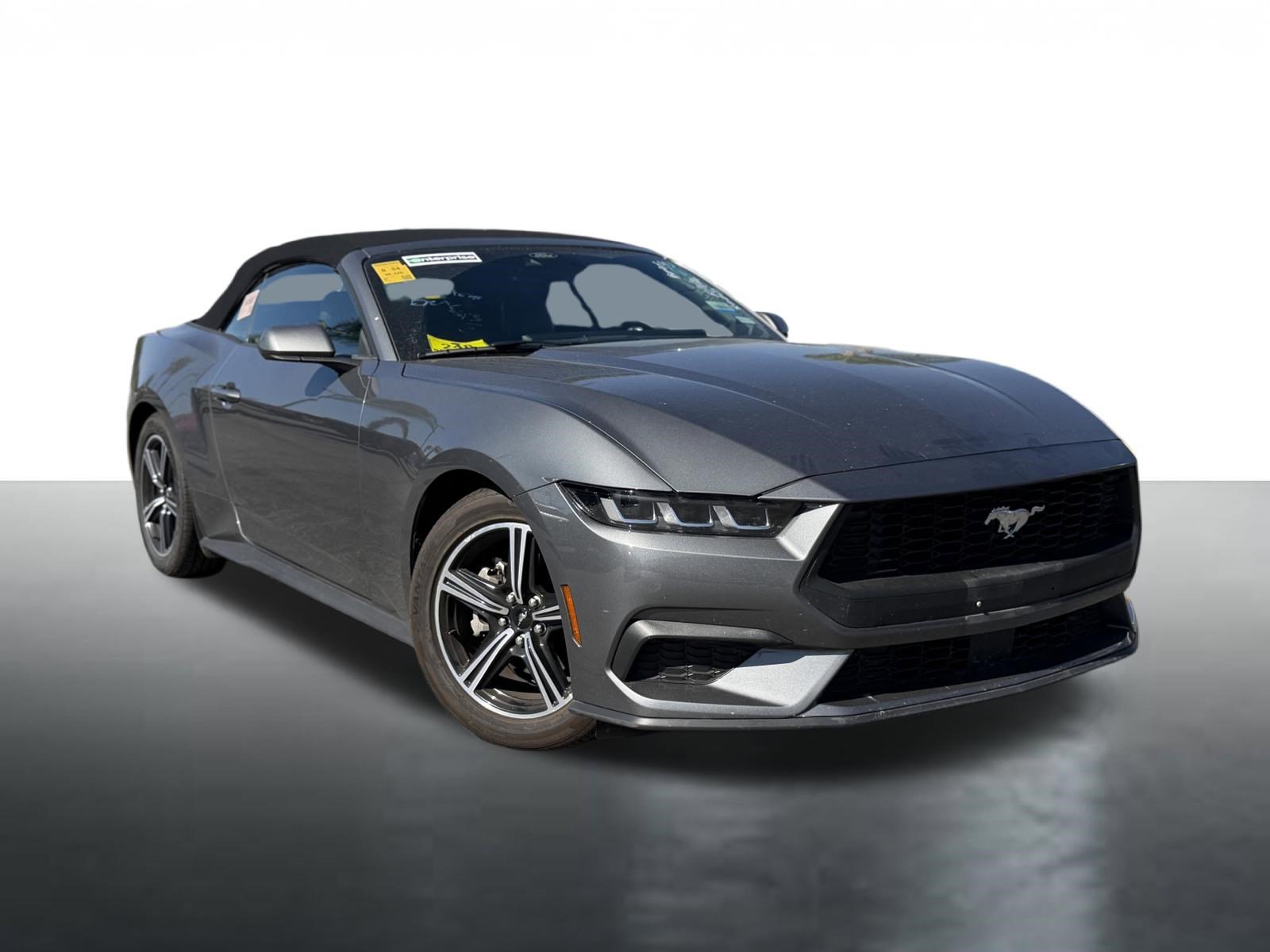 Used 2025 Ford Mustang Premium RWD image 2