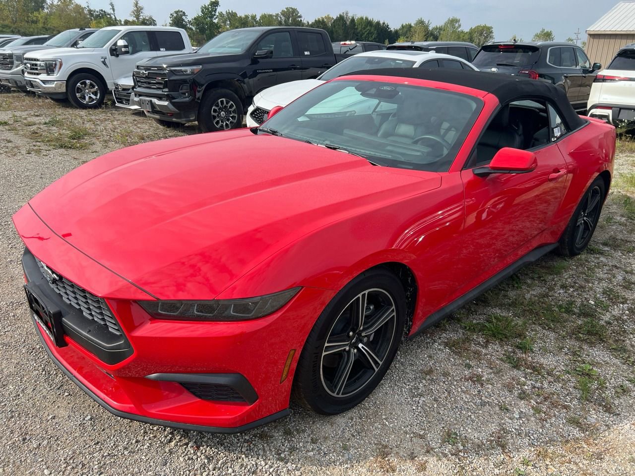 Used 2025 Ford Mustang Premium image 1