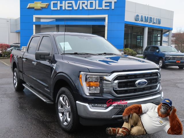 Used 2023 Ford F150 XLT w/ Equipment Group 302A High