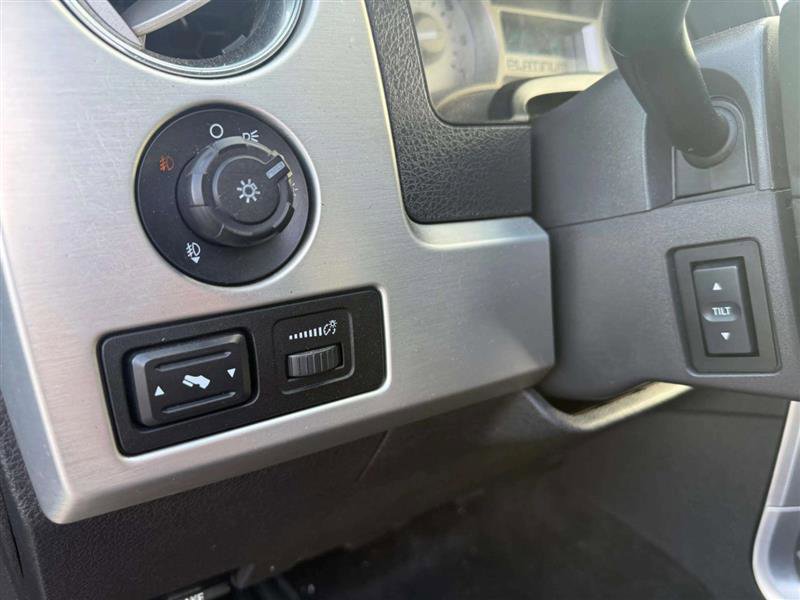 Used 2010 Ford F150 Platinum image 18