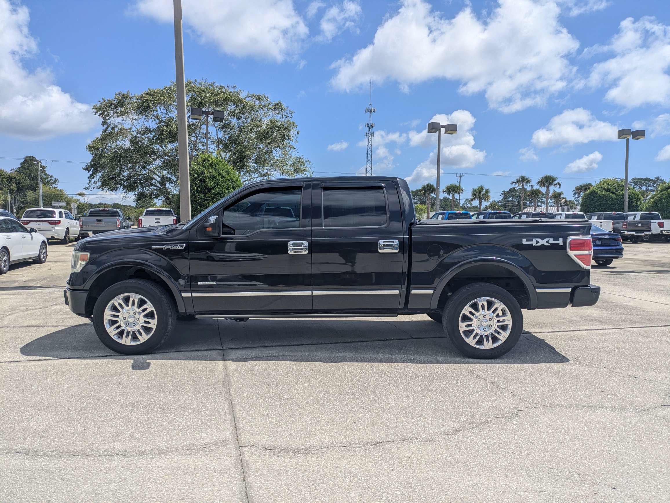 Used 2013 Ford F150 Platinum AWD/4WD image 7