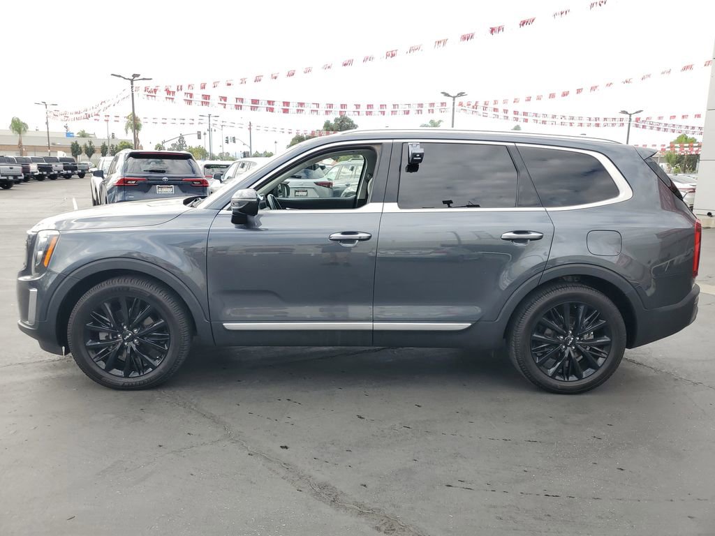 Used 2022 Kia Telluride SX w/ SX Prestige Package image 6