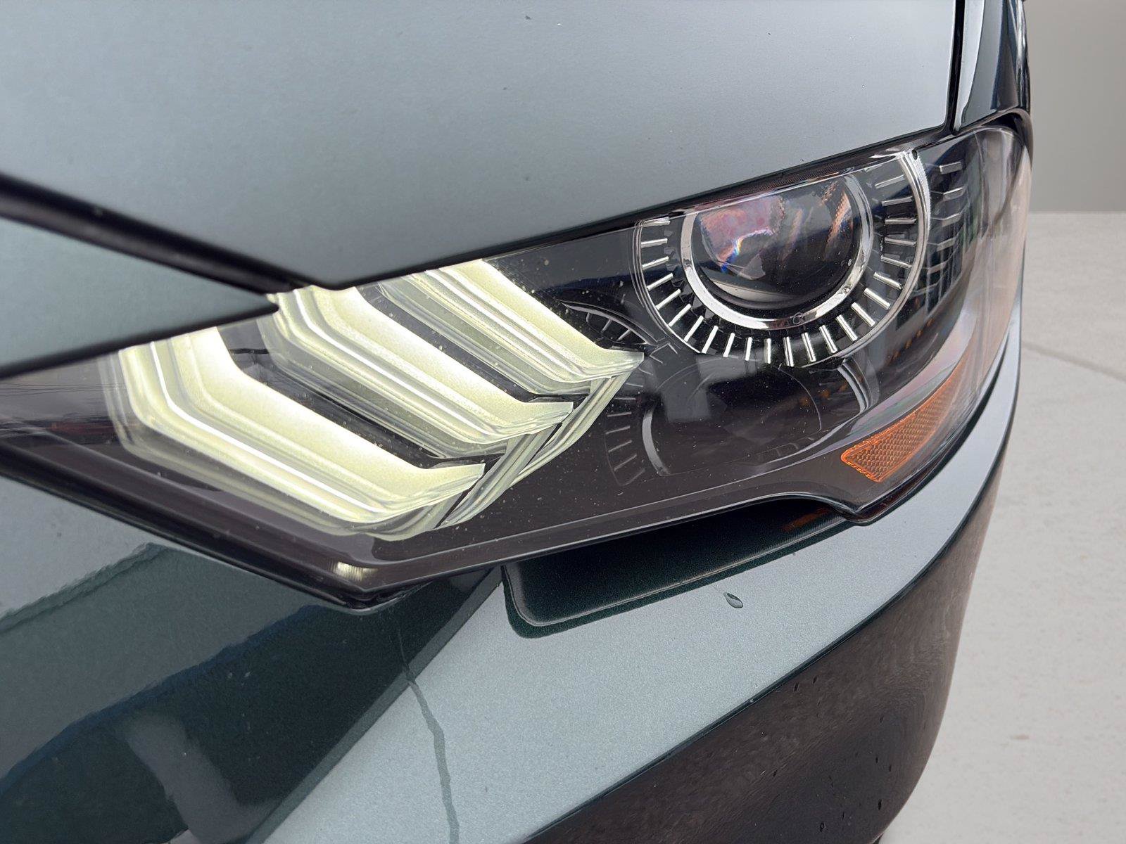 Used 2019 Ford Mustang Bullitt RWD image 41