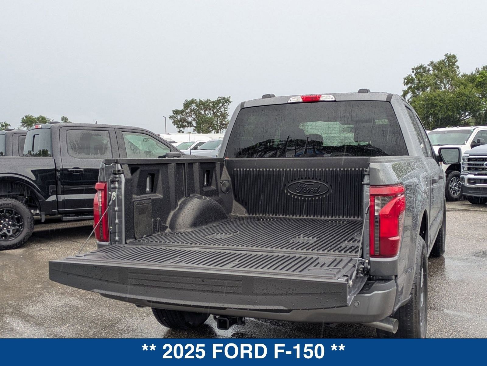 New 2025 Ford F150 STX w/ Equipment Group 200A image 14