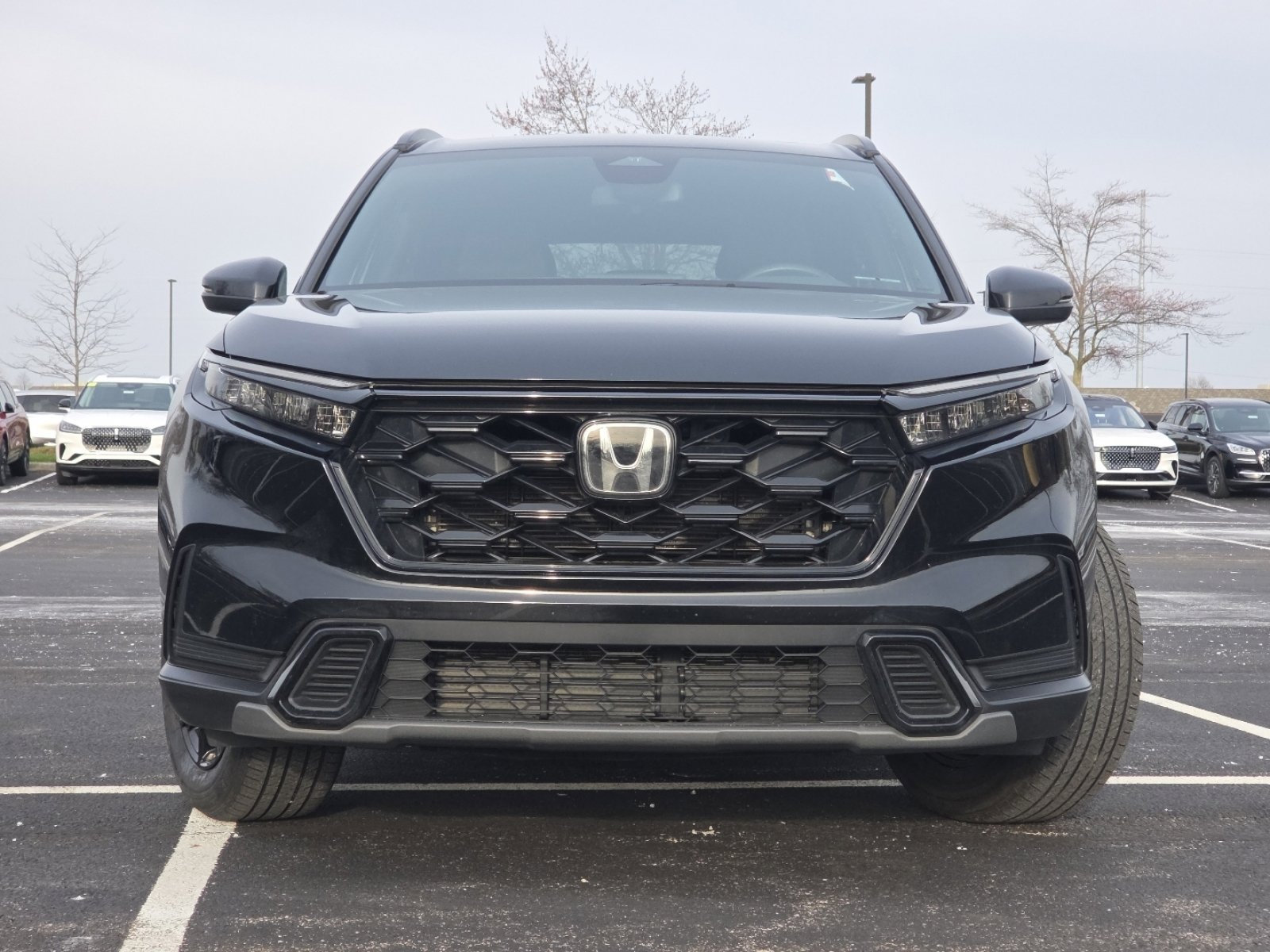 Certified 2024 Honda CR-V Sport image 15