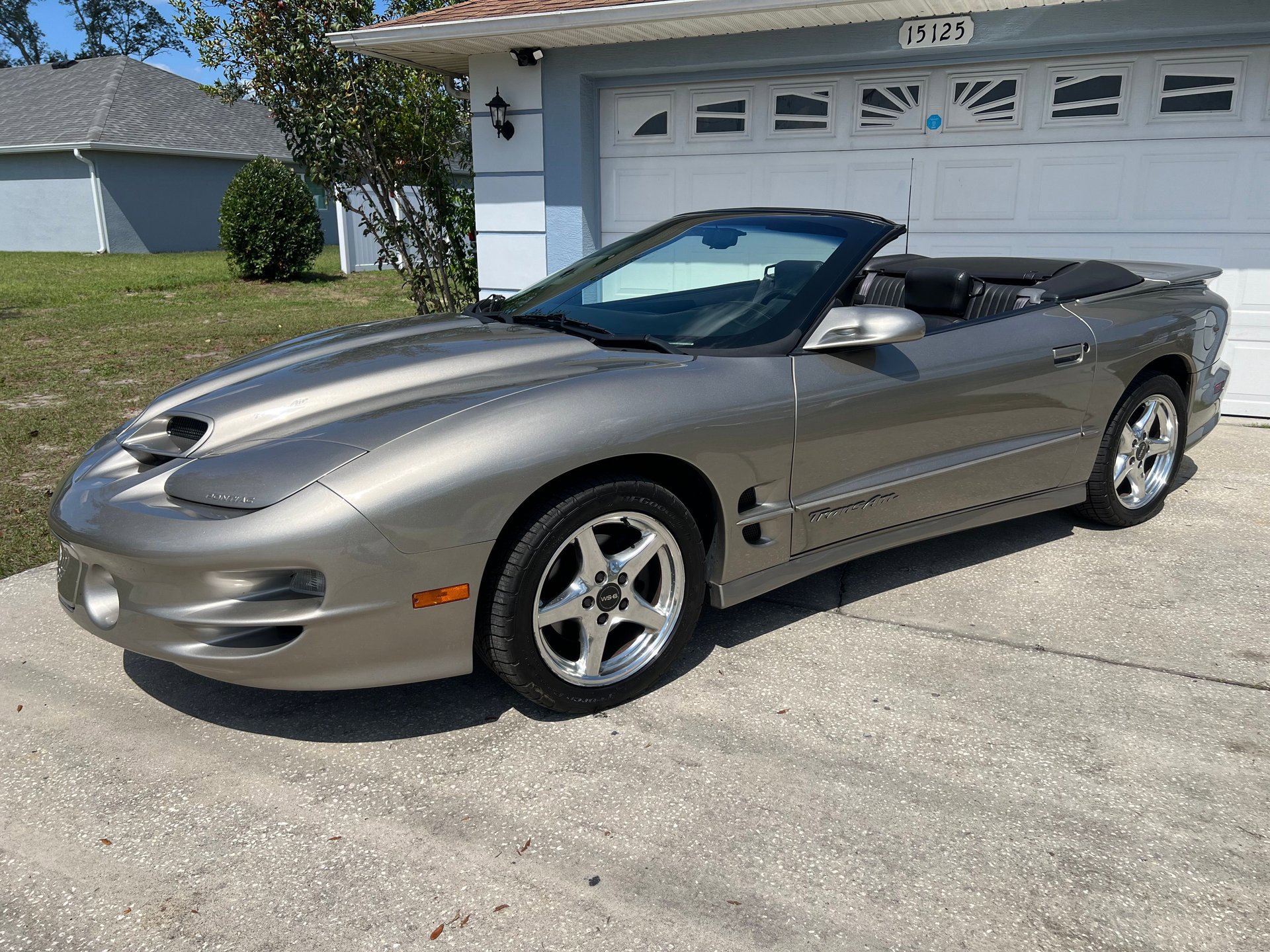 Used 2000 Pontiac Firebird Trans Am image 1
