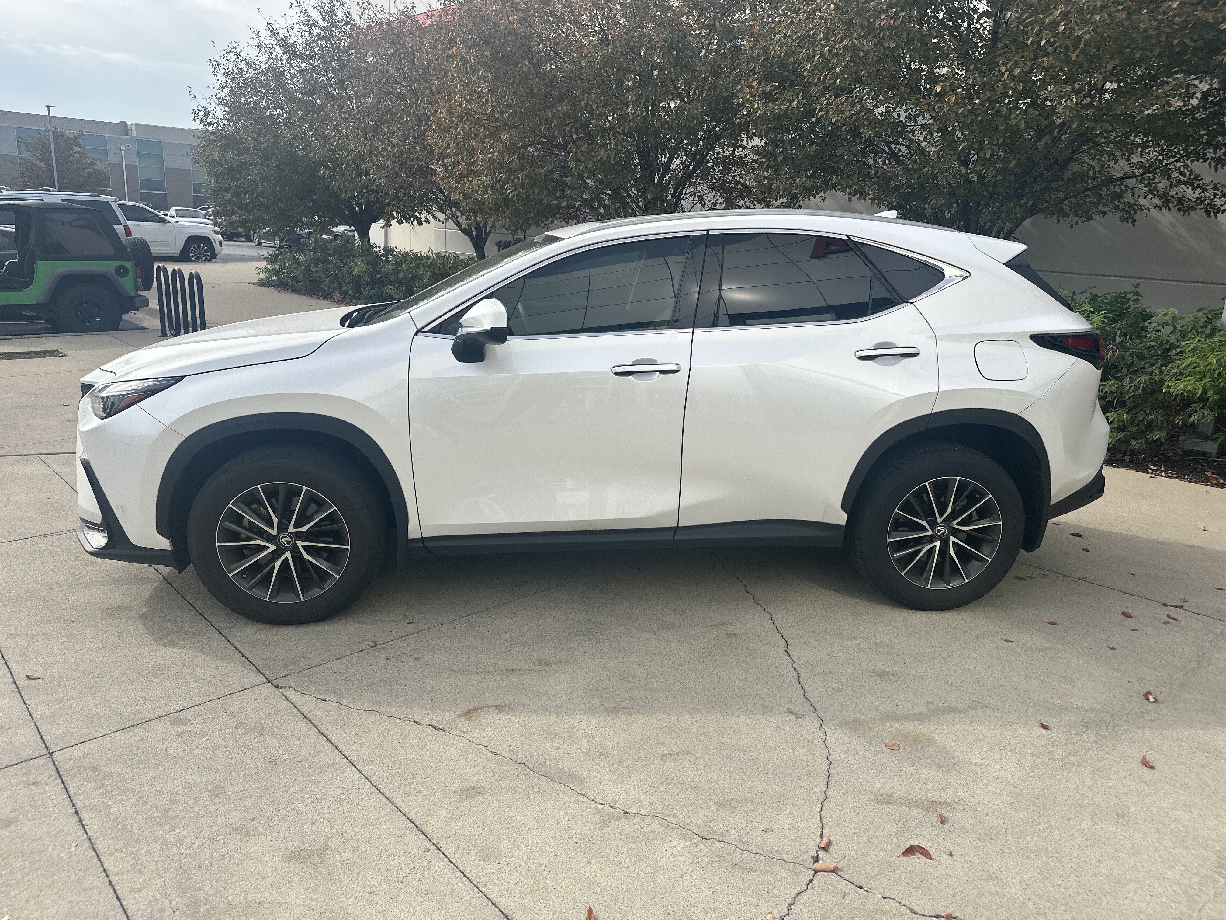 Used 2024 Lexus NX 350 AWD w/ Cold Area Package image 9