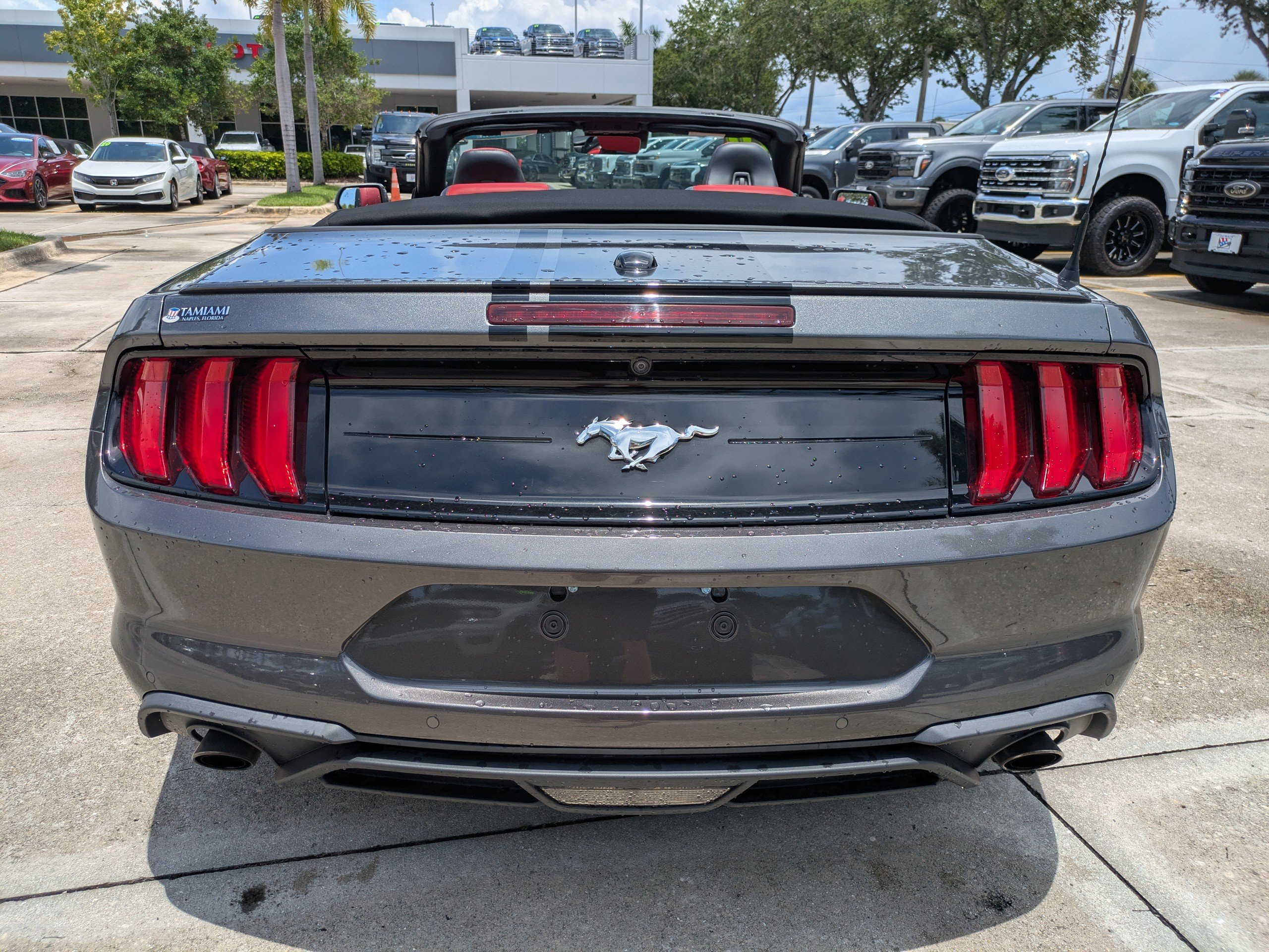 Certified 2020 Ford Mustang Premium w/ Equipment Group 201A RWD image 5