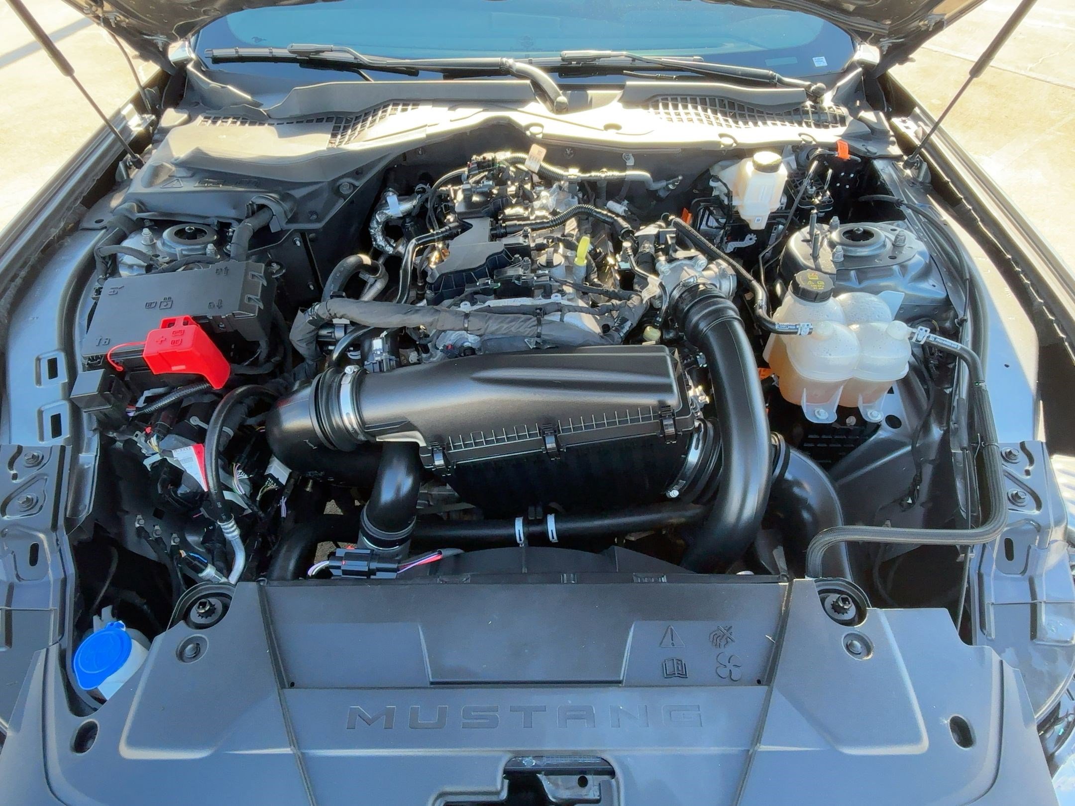 Used 2024 Ford Mustang EcoBoost image 28